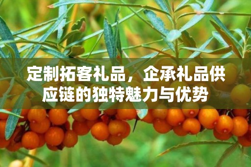 定制拓客礼品，企承礼品供应链的独特魅力与优势
